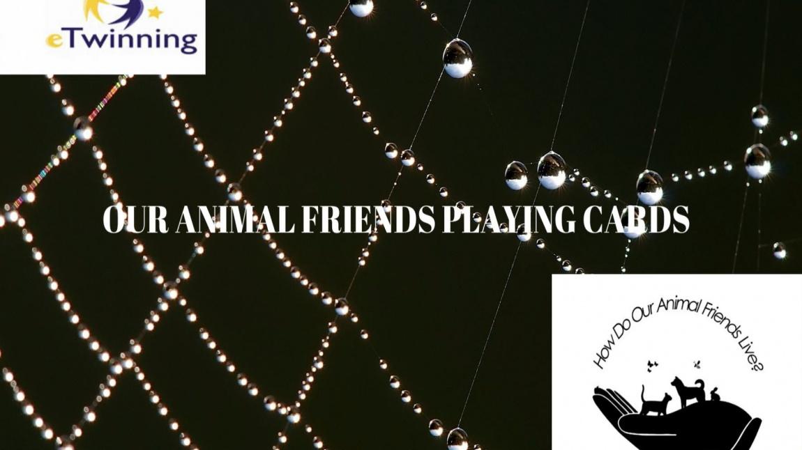 Hayvan Dostlarımız Nasıl Yaşıyor ? - HOW DO OUR ANIMAL FRIENDS LIVE - 2
