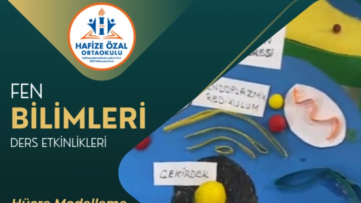 Hücre Modelleme Etkinliği - Fen Bilimleri _ 2025 _ II